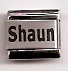 Shaun - laser name